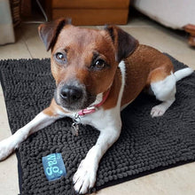 Load image into Gallery viewer, Henry Wag Microfibre Noodle Pet Mat.

