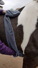 Load image into Gallery viewer, Henry Wag Microfibre Equine Glove Towel.
