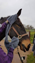 Load image into Gallery viewer, Henry Wag Microfibre Equine Glove Towel.
