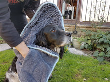 Load image into Gallery viewer, Henry Wag Noodle Glove Towel.
