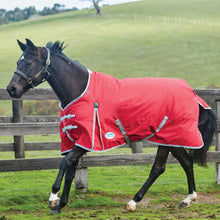 Load image into Gallery viewer, Weatherbeeta Comfitec Classic Standard Neck Lite. Weatherbeeta Turnout Rug. Turnout Rugs for Horses. Light Weight turnout rugs.

