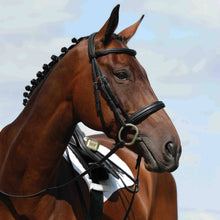 Load image into Gallery viewer, Collegiate Syntovia+ Padded Raised Cavesson Bridle.
