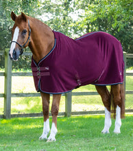 Load image into Gallery viewer, Premier Equine Asure Fleece Rug
