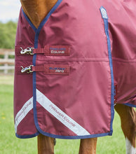 Load image into Gallery viewer, Premier Equine Buster Zero Original Turnout Rug.
