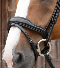 Load image into Gallery viewer, Premier Equine Favoloso Anatomic Bridle with Crank Noseband
