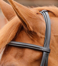 Load image into Gallery viewer, Premier Equine Mossimo Cavesson Bridle 
