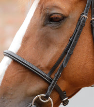 Load image into Gallery viewer, Premier Equine Mossimo Cavesson Bridle 
