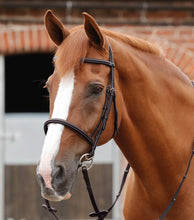 Load image into Gallery viewer, Premier Equine Mossimo Cavesson Bridle
