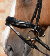 Load image into Gallery viewer, Premier Equine Rizzo Anatomic Snaffle Bridle with Flash
