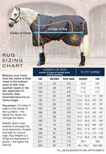 Load image into Gallery viewer, Premier Equine Buster Fleece Cooler Rug - Prestige Edition.
