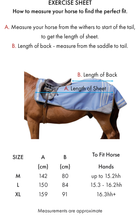 Load image into Gallery viewer, Premier Equine Stratus Horse Exercise Sheet
