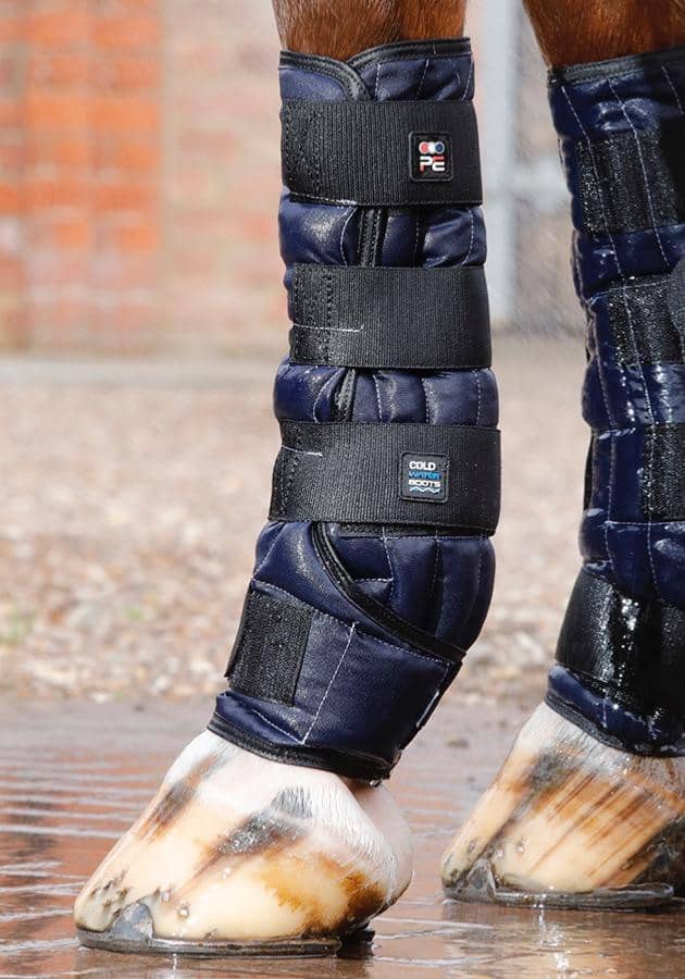 Premier Equine Cold Water Boots.