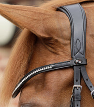Load image into Gallery viewer, Premier Equine Stellazio Anatomic Snaffle Bridle with Flash
