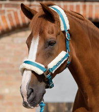 Load image into Gallery viewer, Premier Equine Techno Wool Lined Head Collar

