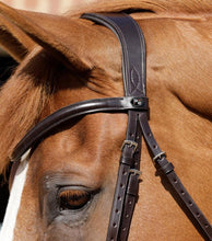 Load image into Gallery viewer, Premier Equine Verdura Anatomic Snaffle Bridle
