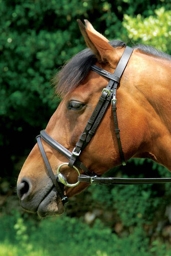 Celtic Equine Classic Bridle - MCB Equestrian 