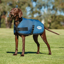 Load image into Gallery viewer, Weatherbeeta COMFITEC Classic Dog Coat - Navy.
