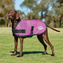 Load image into Gallery viewer, Weatherbeeta COMFITEC Classic Dog Coat - Pink.

