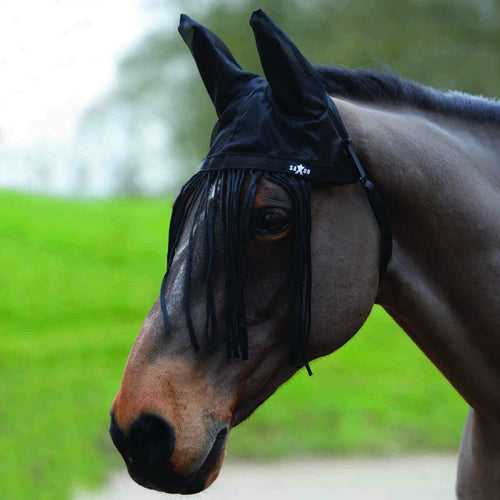 Saxon Fly Fringe with Ears. Fly fringe with ears. Fly fringe for horses. Pony Fly Fringe.