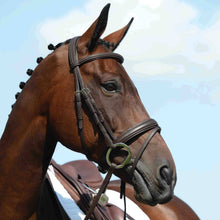 Load image into Gallery viewer, Collegiate Syntovia+ Padded Raised Flash Bridle.
